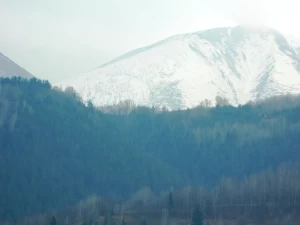 1 ARALIK 25 TAZE KAR