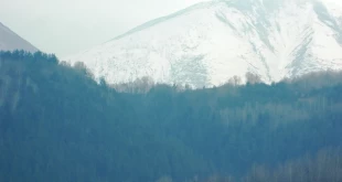 1 ARALIK 25 TAZE KAR