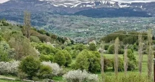Demirdöven köyünden şahana dağına bakış